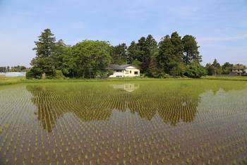 第10回 持続可能な水田農業を支える 大崎耕土 の伝統的水管理システム 国際連合食糧農業機関 Fao 駐日連絡事務所 Food And Agriculture Organization Of The United Nations