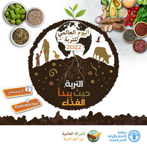 World Soil Day 2022 | Official Social Media Cards
