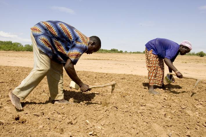 Photo: ©FAO/Alessandra Benedetti
