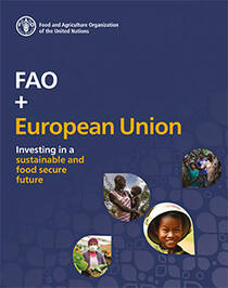 FAO + European Union - Download the Report!