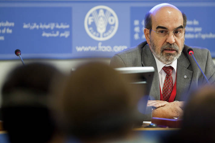 Photo: ©FAO/...