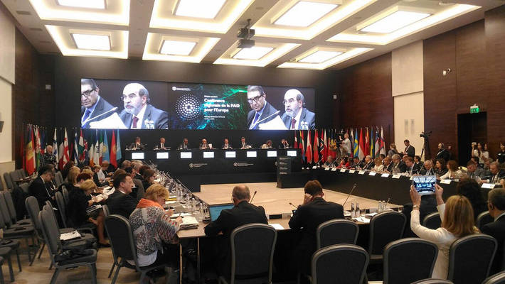 Photo: ©FAO/Vasily Maximov