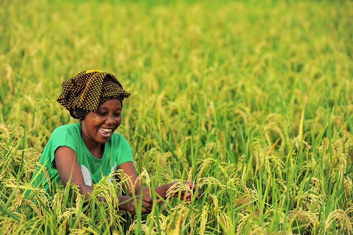 Photo: ©FAO/Daniel Hayduk