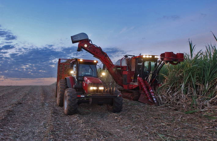 Foto: ©FAO/Giuseppe Bizzarri