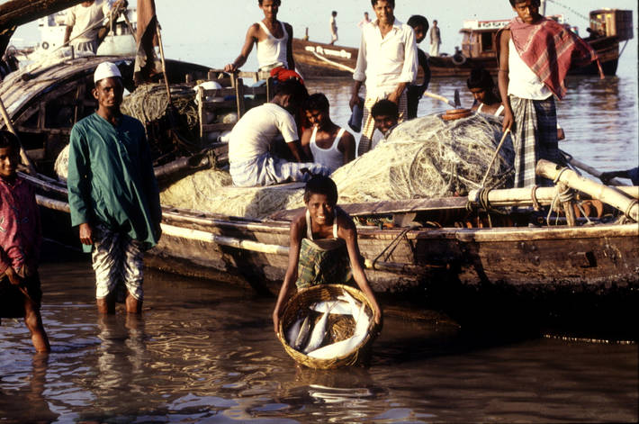 Photo: ©FAO/E. Amalore