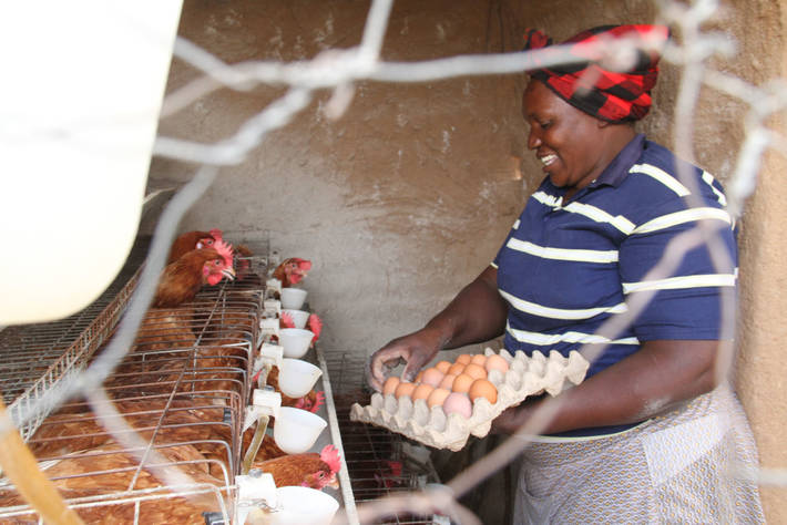 Photo: ©FAO/Believe Nyakudjara