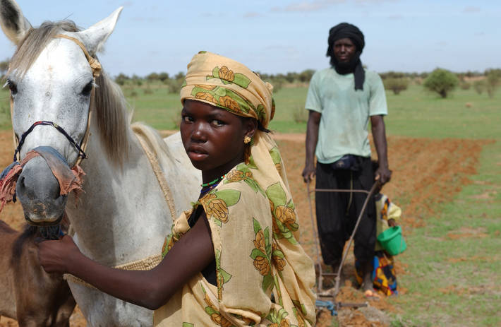 Photo: ©FAO/Giampiero Diana
