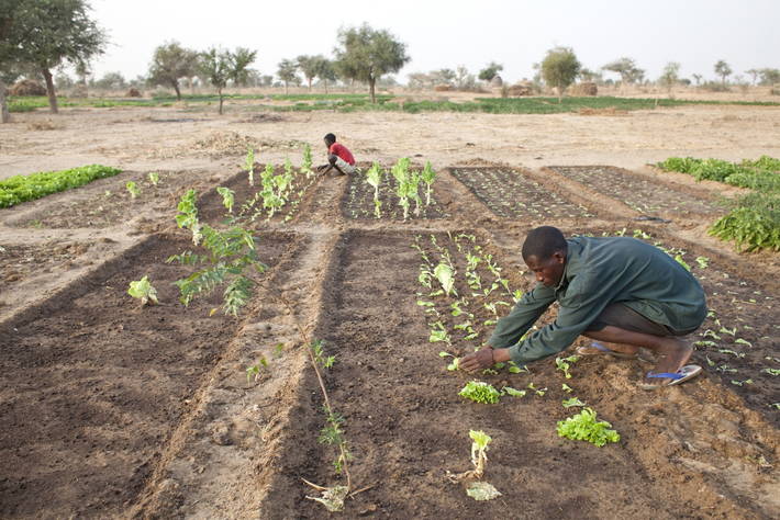 Photo: ©FAO/Giulio Napolitano