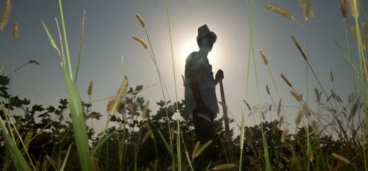 ©FAO/Sergey Kozmin / FAO