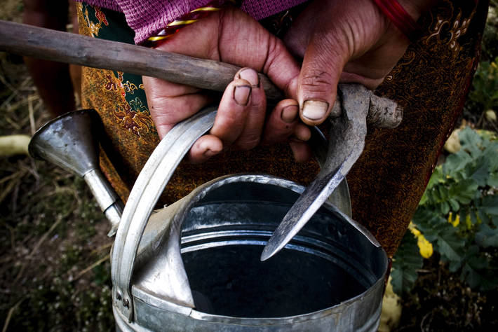 Foto: ©FAO/Sailendra Kharel