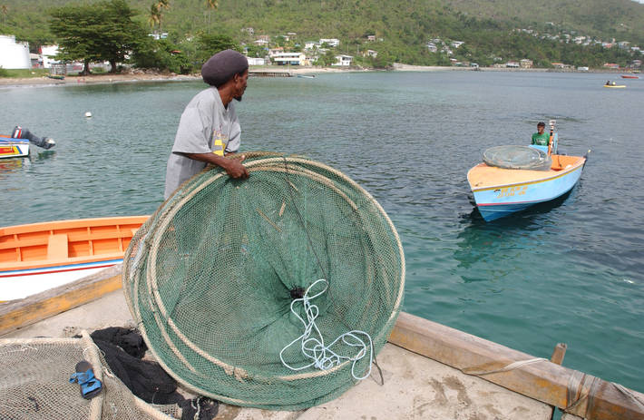 Photo: ©FAO/Giuseppe Bizzarri
