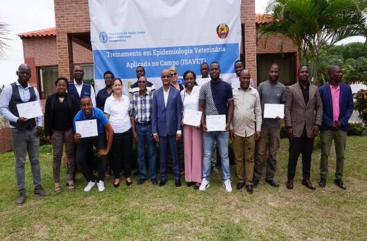 Subregional Office For Southern Africa FAO Regional Office For Africa 