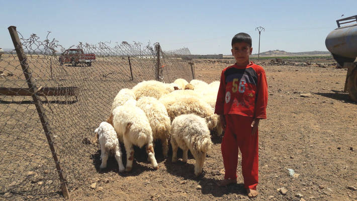 Photo: ©FAO/Alessandro Costantino