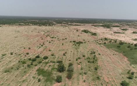 ©FAO/Moctar Sacande