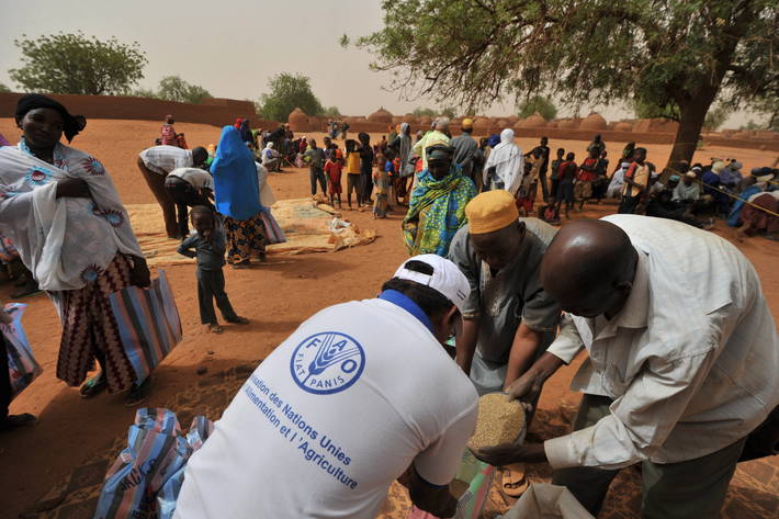 FAO - Nouvelles: L'ONU et ses partenaires lancent un plan humanitaire sur trois ans en faveur du Sahel