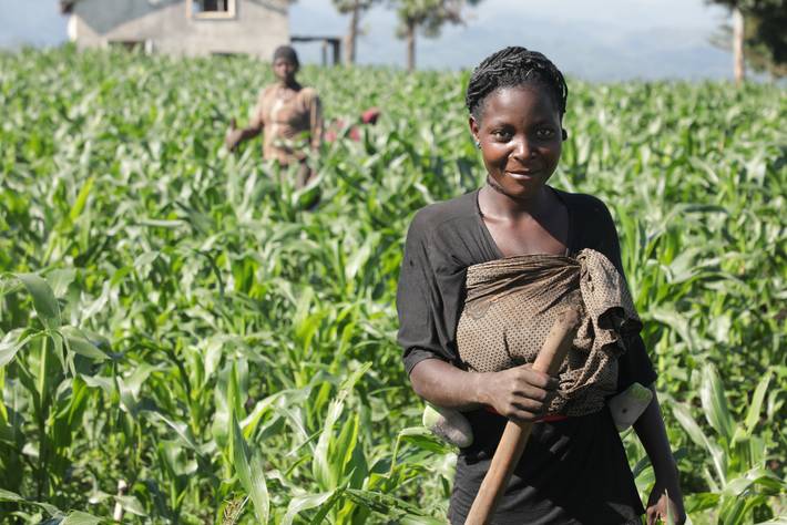 جمهورية الكونغو الديمقراطية هي موطن لأكثر من 80 مليون هكتار من الأراضي الخصبة، وآلاف المعادن، والمعادن الثمينة.