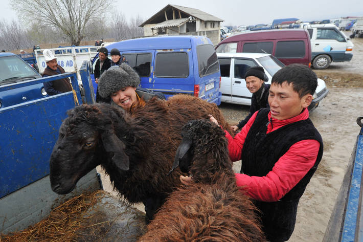 Photo: ©FAO/Vyacheslav Oseledko
