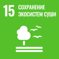 SDG 15