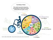 The food balance wheels. Reproduced with permission.