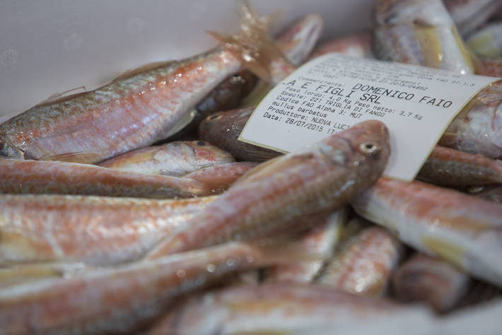 Photo: ©FAO/Giulio Napolitano