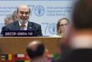 Photo: ©FAO/Giuseppe Carotenuto