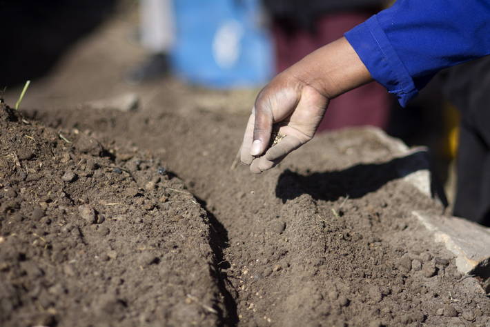 Photo: ©FAO/Rodger Bosch