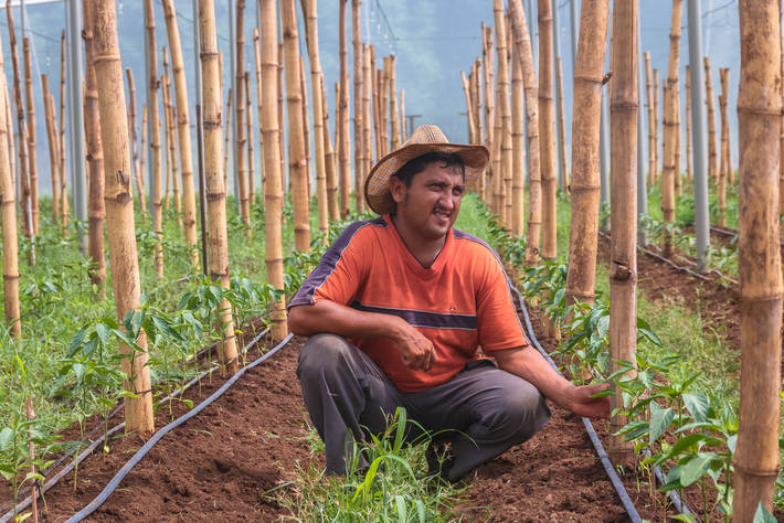 Photo: ©FAO/Oscar Mendoza/FAO