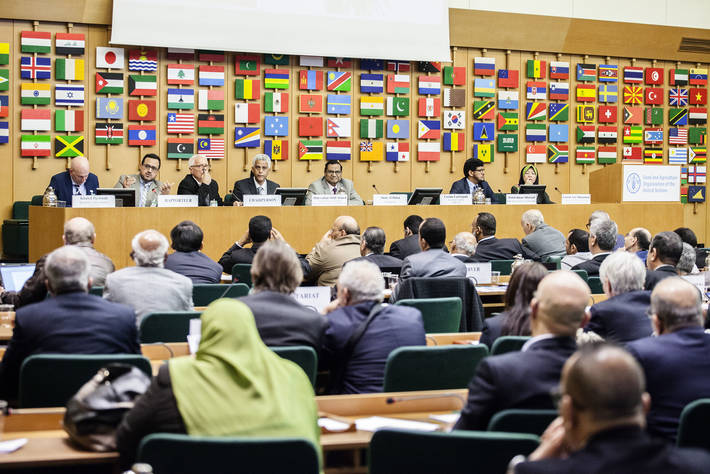 Photo: ©FAO/Giuseppe Carotenuto