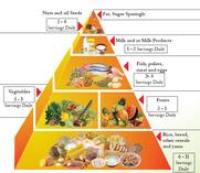 The Sri Lankan food guide. Reproduced with permission.