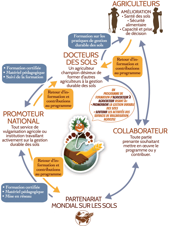 Global Soil Doctors Programme - What is it?
