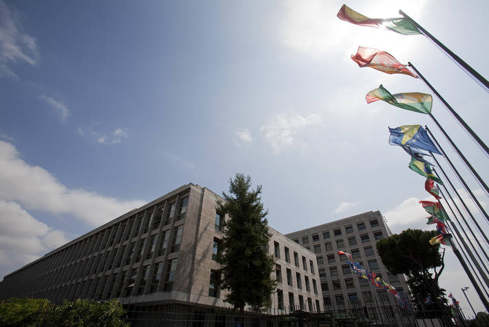 Photo: ©Alessia Pierdomenico