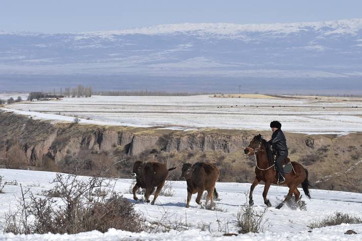 Photo: ©FAO/Vyacheslav Oseledko