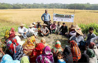 ©FAO/Sean Gallagher