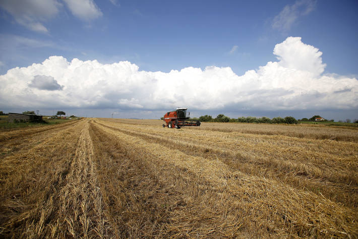 Foto: ©FAO/ Alessia Pierdomenico