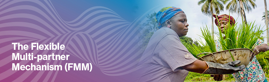 The Flexible Multi-Partner Mechanism