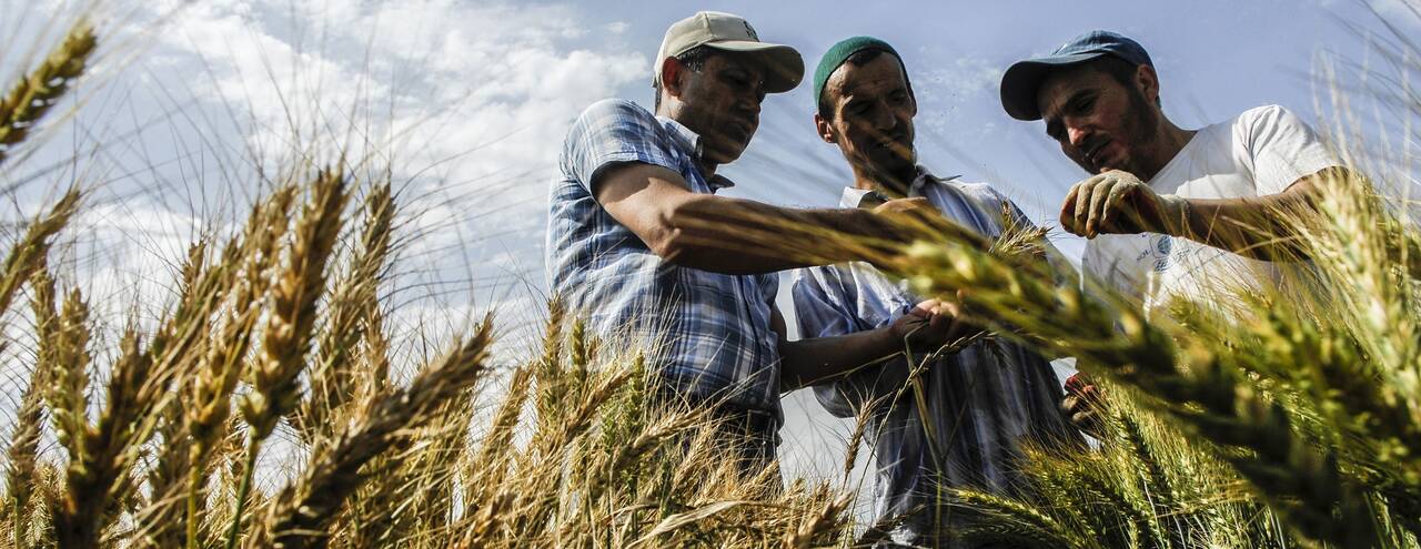 ©FAO/Nozim Kalandarov