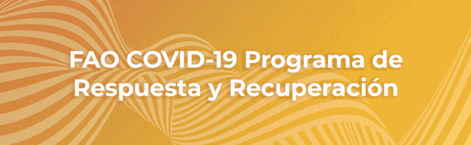 FAO COVID-19 Programa de Respuesta y Recuperación
