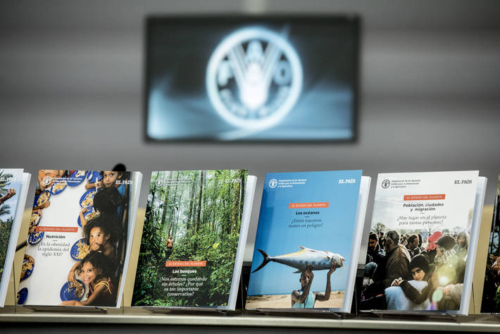 Photo: ©FAO/Alessandra Benedetti