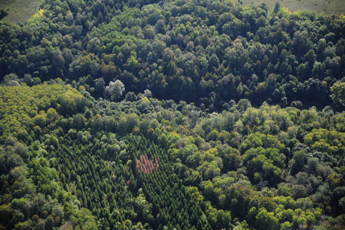 Photo: FAO/Vasily Maksimov