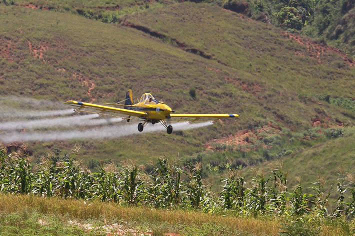 Photo: ©FAO/Jean-Marie Legrand