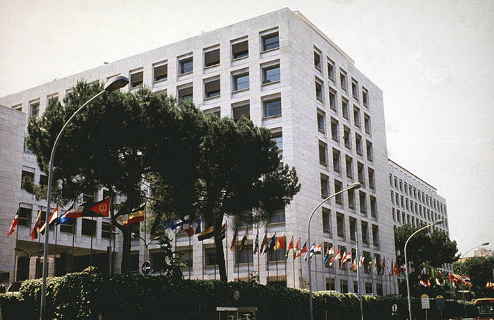 Photo: ©FAO/Luigi Spaventa