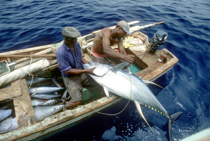 Foto: ©FAO/Mario Marzot