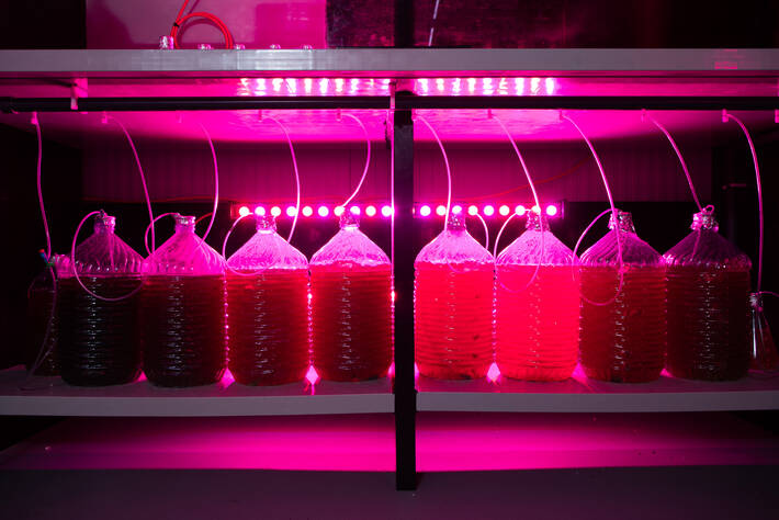 Photo: ©FAO/FameMedia