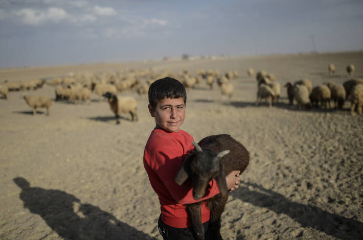 Photo: ©AFP PHOTO/BULENT KILIC