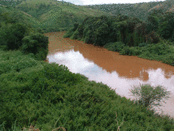 The typical 'chocolate' colour of the Kagera river