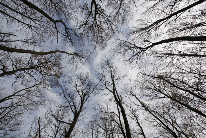 Photo: ©FAO/Balint Porneczi