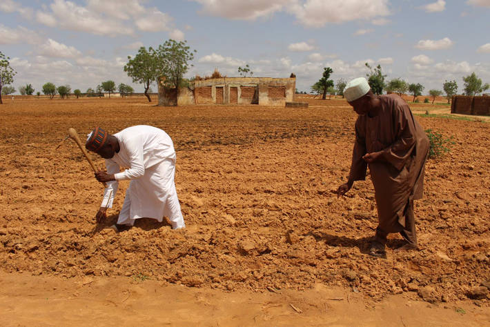 Photo: FAO/Sonia Nguyen