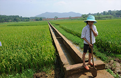 Sustainable Land Management Land Water Food And Agriculture