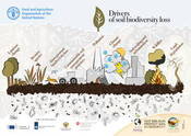 Drivers of soil biodiversity loss