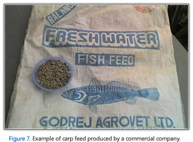 FAO: Feed formulation
